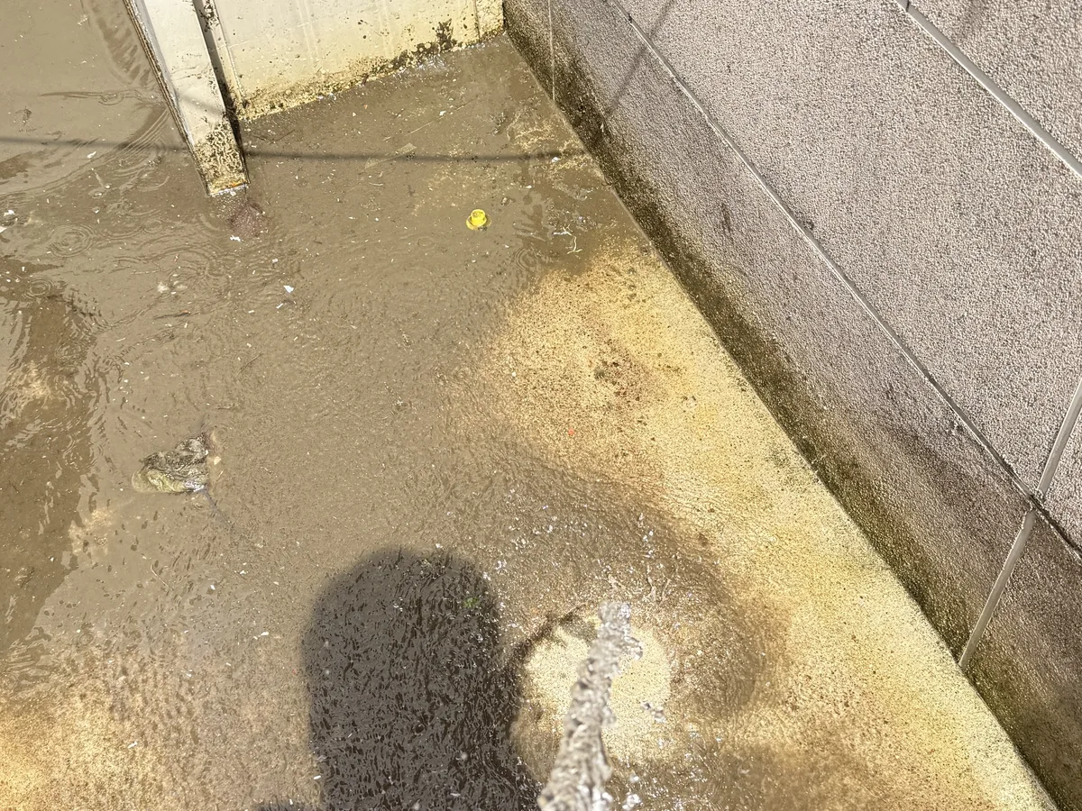 합천군 가야면 침수 현장 복도·대기 동선 야간 위생청소 사례 - 행진크린